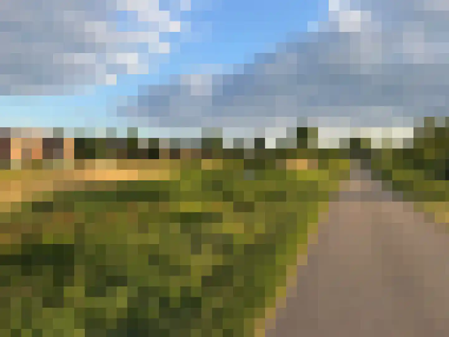 Boterbloem 25 Nijkerk thumbnail 59