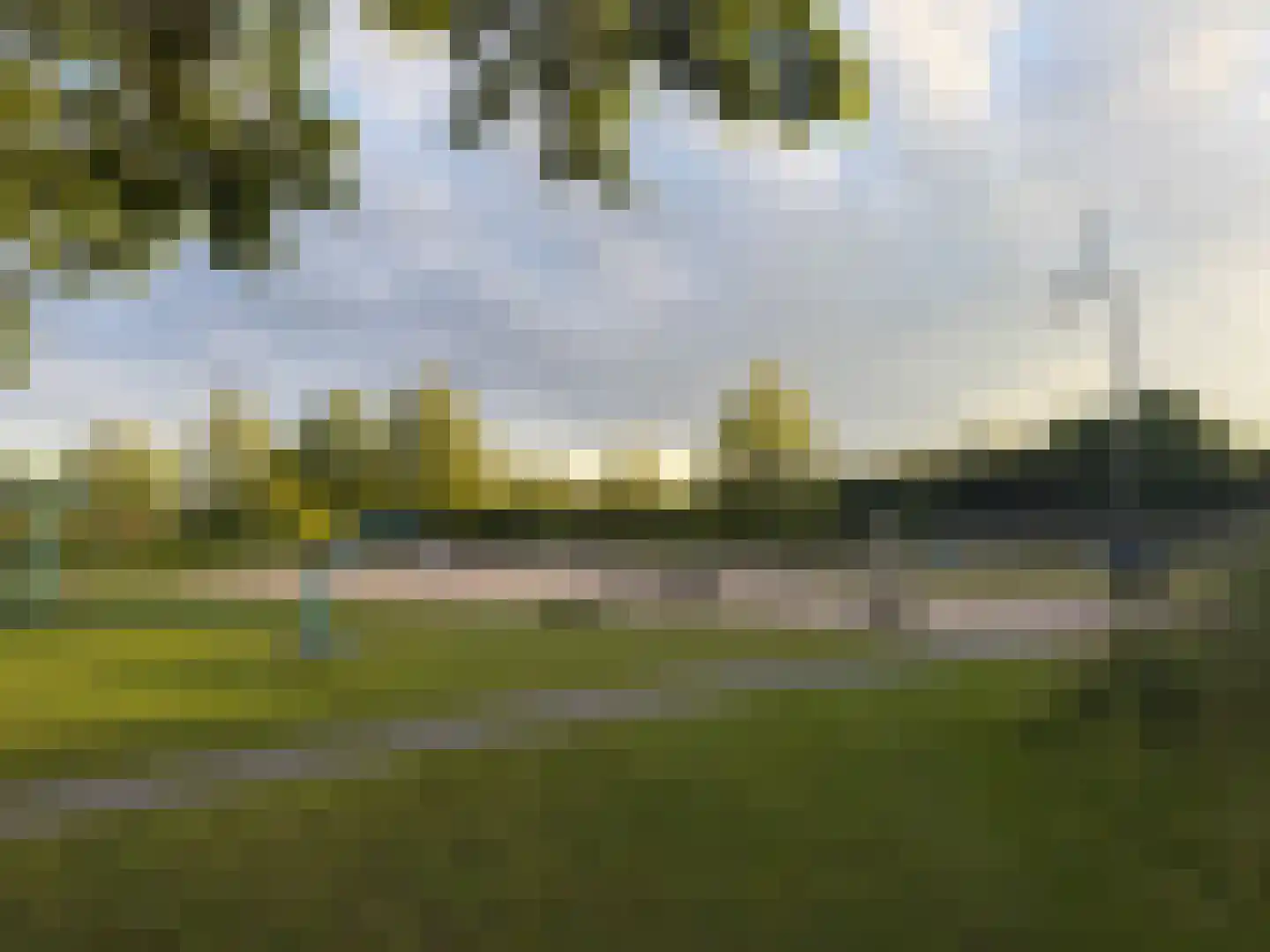 Boterbloem 25 Nijkerk thumbnail 60