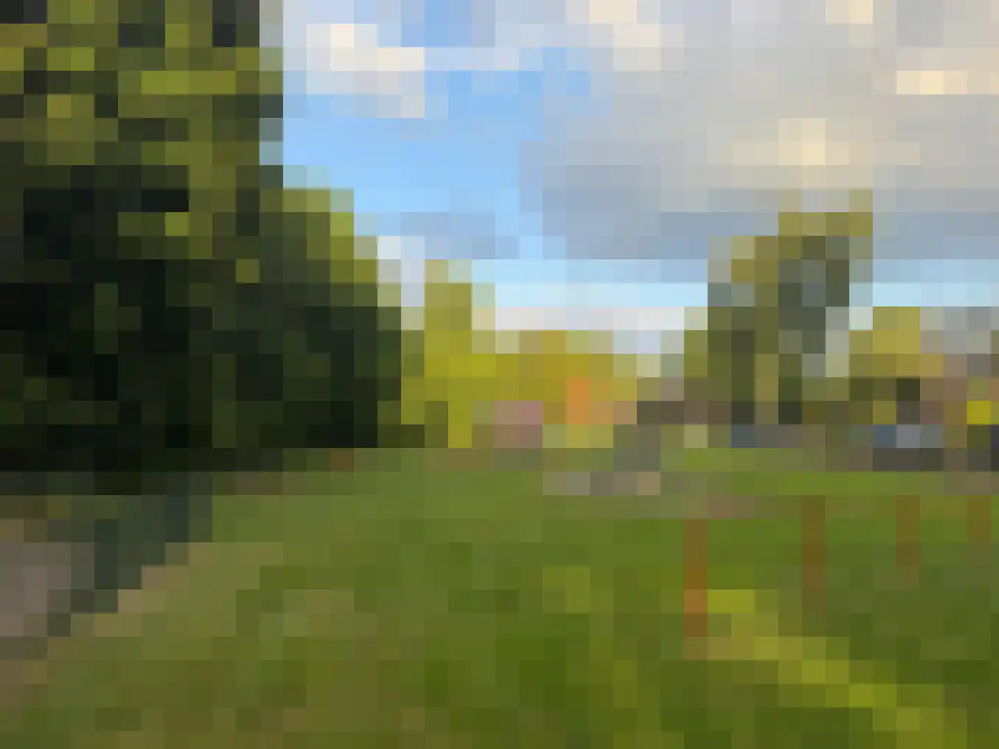 Boterbloem 25 Nijkerk thumbnail 61