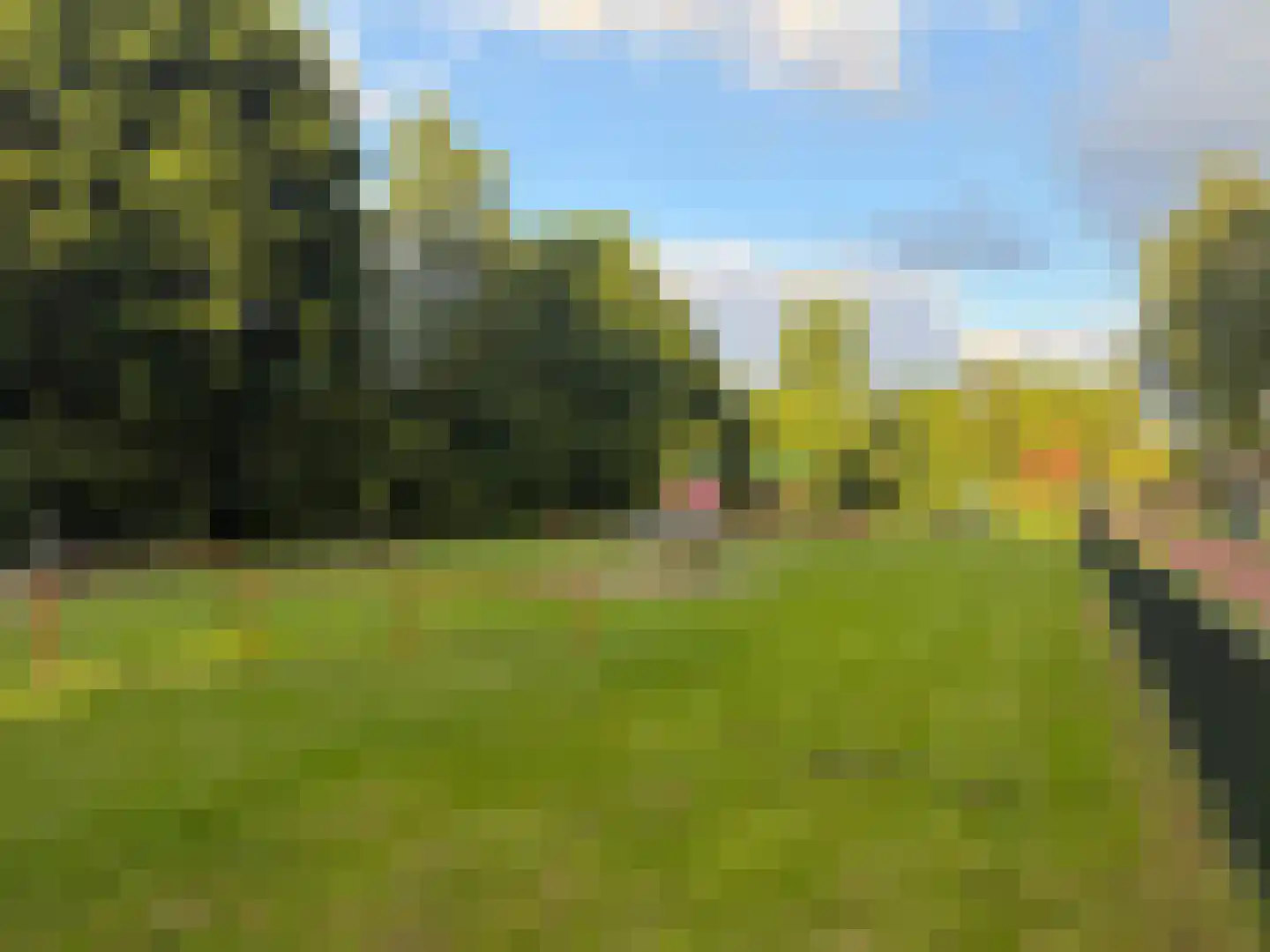 Boterbloem 25 Nijkerk thumbnail 61