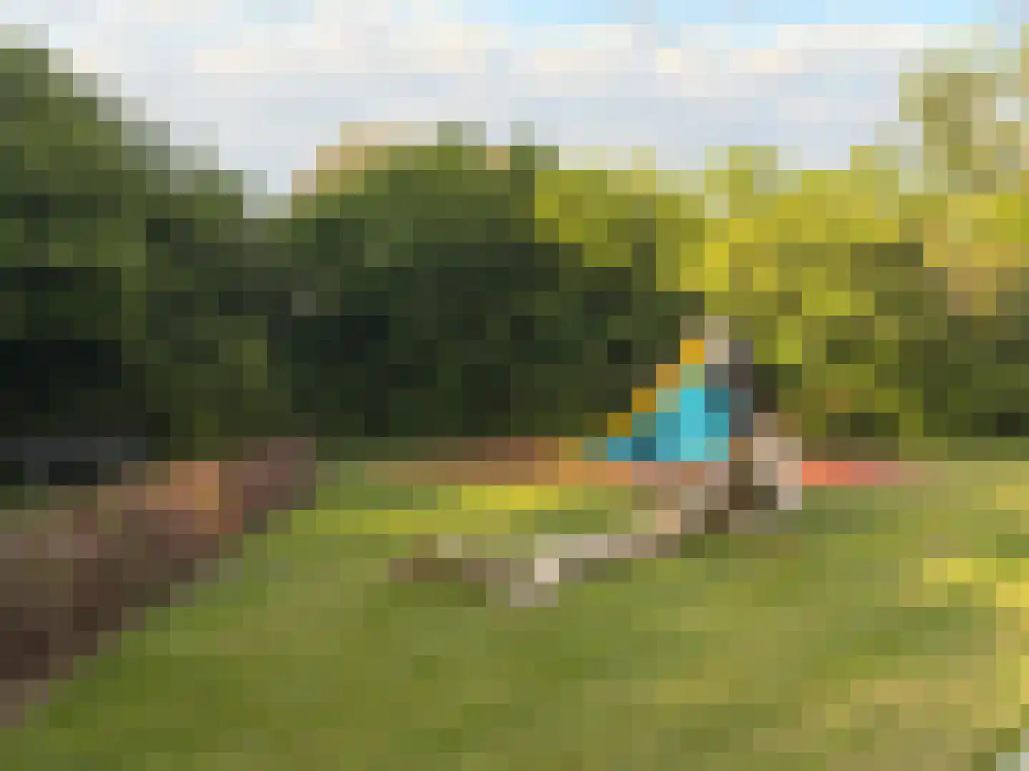 Boterbloem 25 Nijkerk thumbnail 63