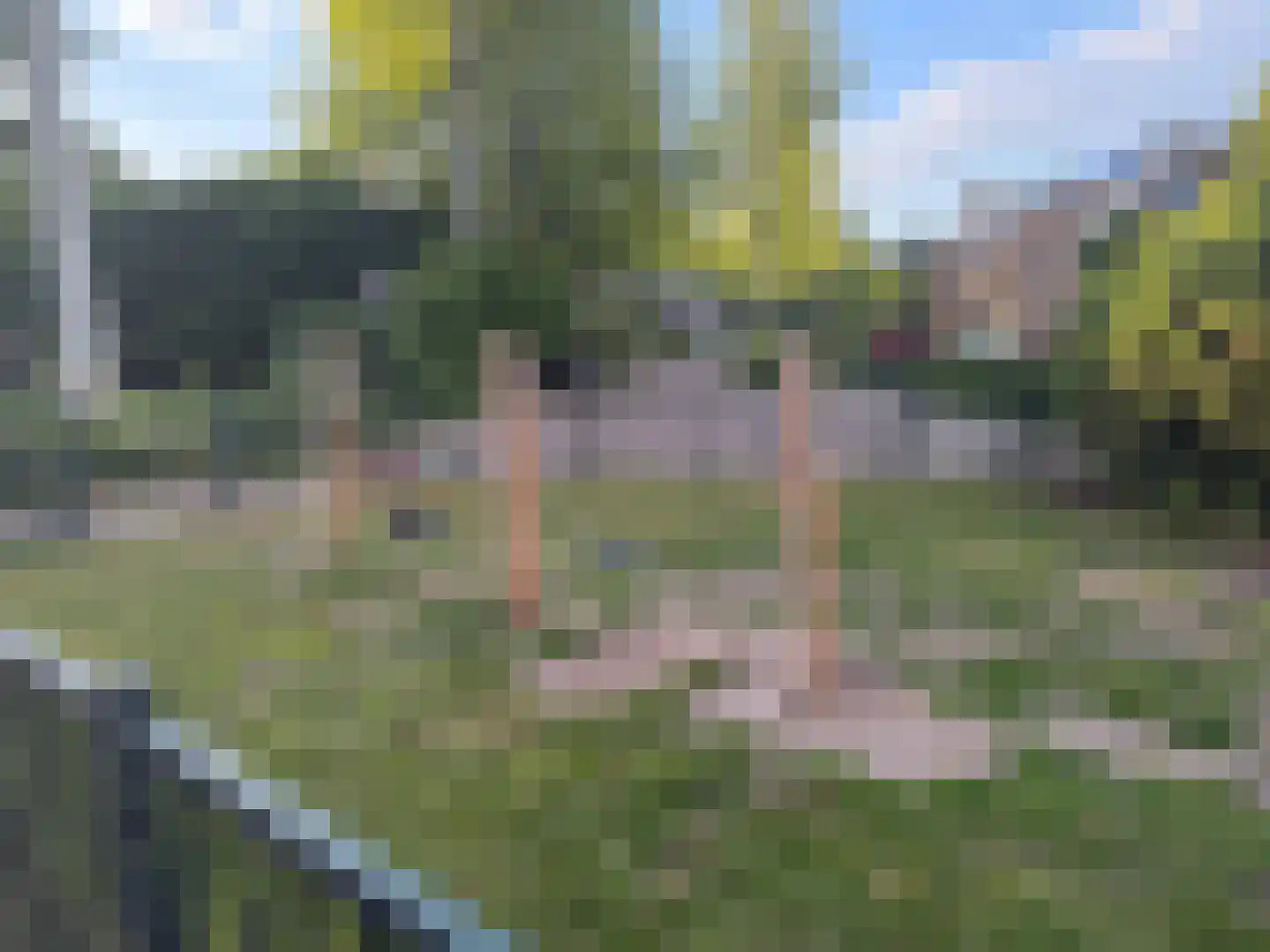 Boterbloem 25 Nijkerk thumbnail 63
