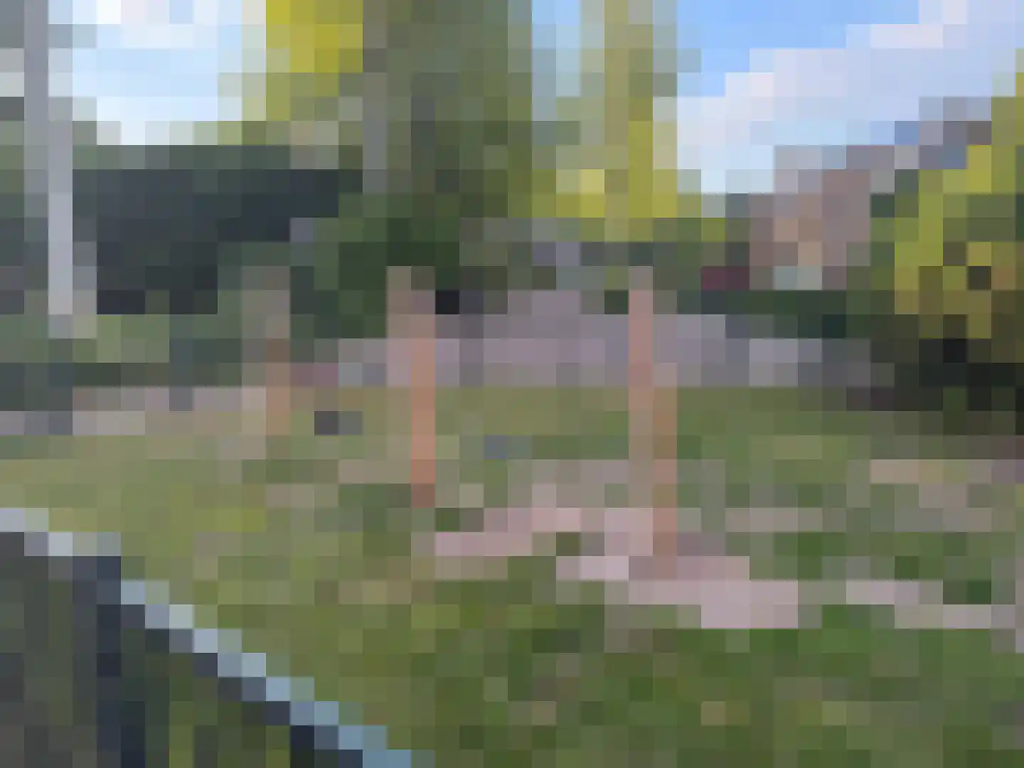 Boterbloem 25 Nijkerk thumbnail 64