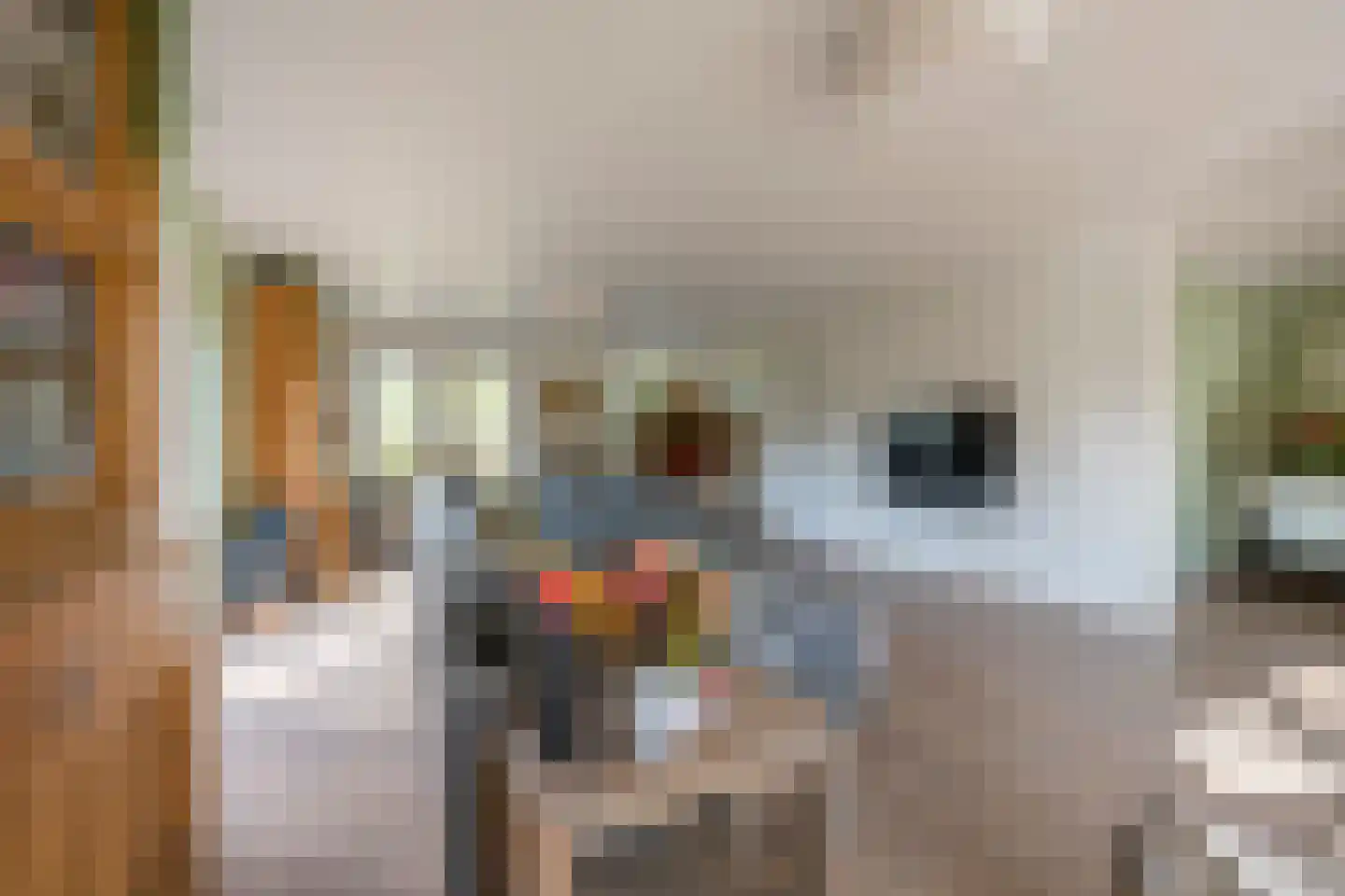Boterbloem 25 Nijkerk thumbnail 7