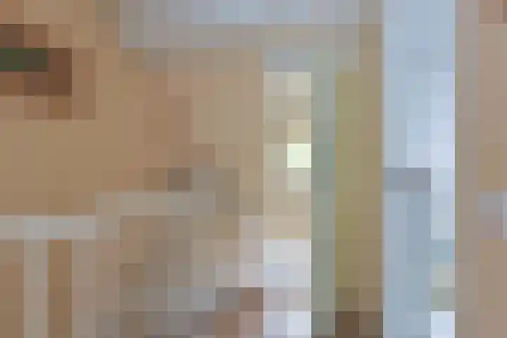 Boterbloem 26 Zwaag thumbnail 10