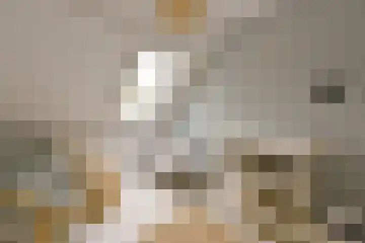 Boterbloem 26 Zwaag thumbnail 12