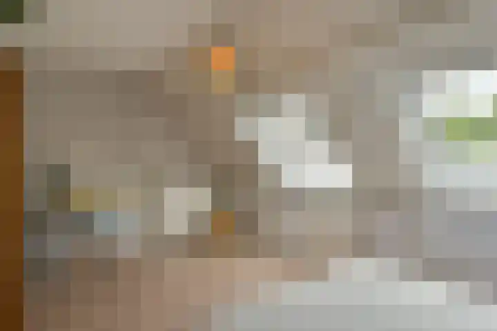 Boterbloem 26 Zwaag thumbnail 15