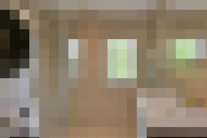 Boterbloem 26 Zwaag thumbnail 16