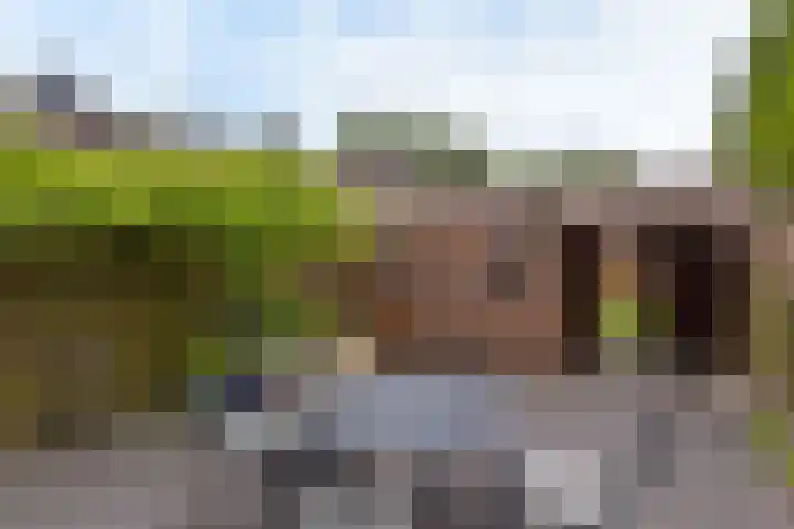 Boterbloem 26 Zwaag thumbnail 18