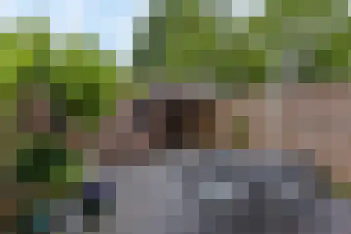 Boterbloem 26 Zwaag thumbnail 19