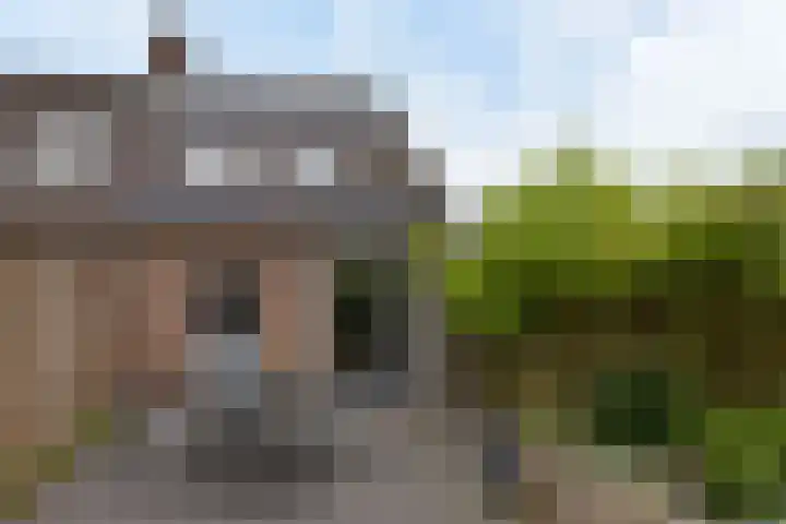 Boterbloem 26 Zwaag thumbnail 20