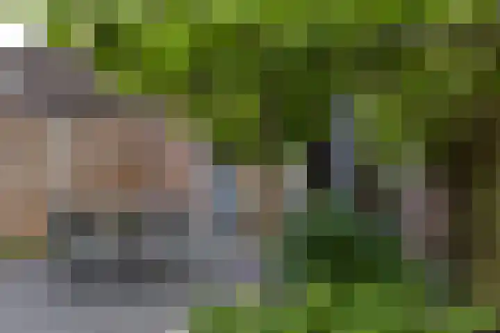 Boterbloem 26 Zwaag thumbnail 21