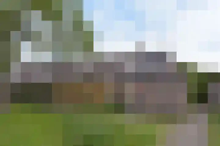Boterbloem 26 Zwaag thumbnail 22