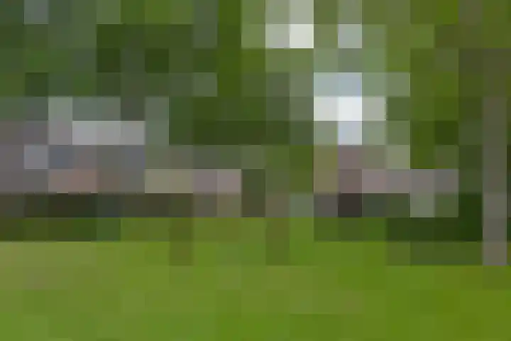 Boterbloem 26 Zwaag thumbnail 23