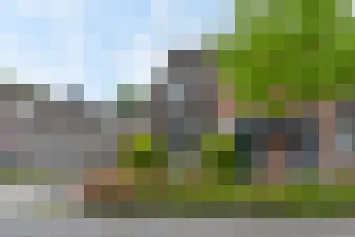 Boterbloem 26 Zwaag thumbnail 25