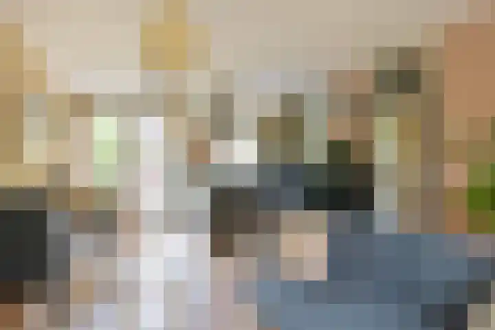 Boterbloem 26 Zwaag thumbnail 5
