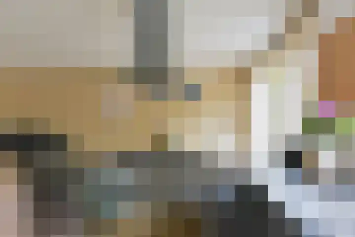 Boterbloem 26 Zwaag thumbnail 9
