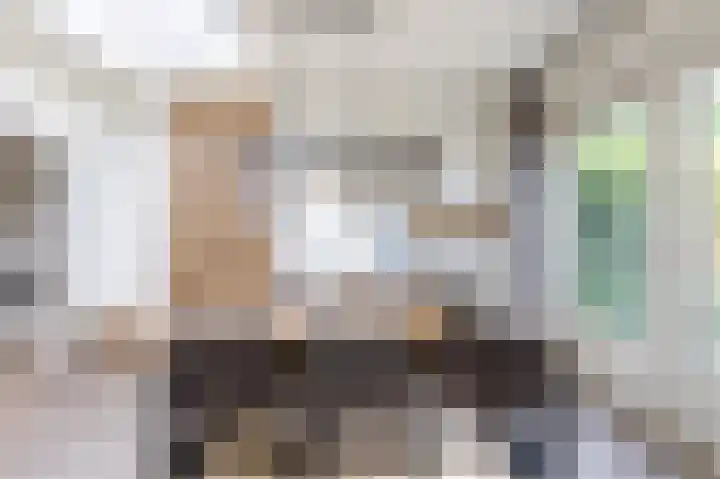 Boterbloem 27 Venray thumbnail 13