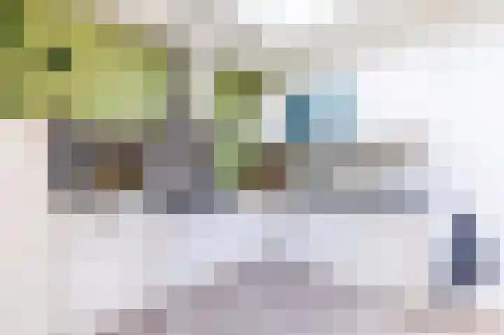 Boterbloem 27 Venray thumbnail 17