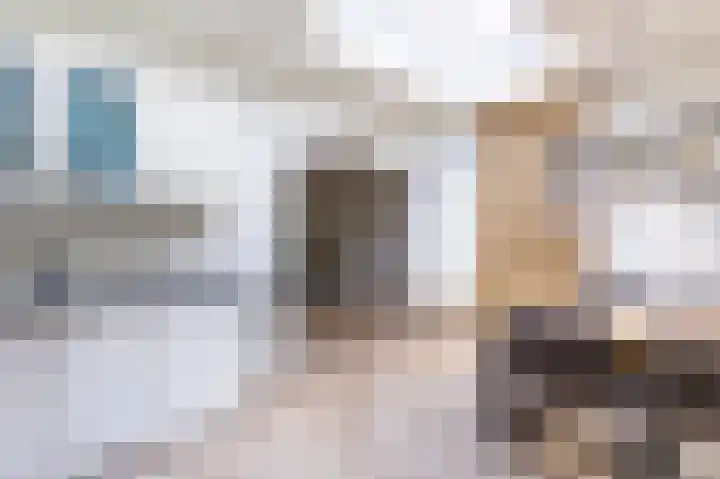 Boterbloem 27 Venray thumbnail 18