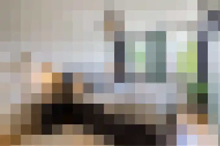 Boterbloem 27 Venray thumbnail 23