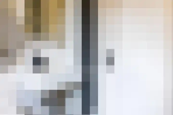 Boterbloem 27 Venray thumbnail 29