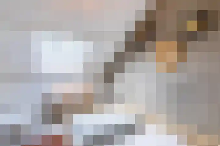 Boterbloem 27 Venray thumbnail 32