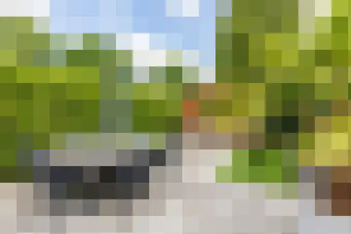 Boterbloem 27 Venray thumbnail 35