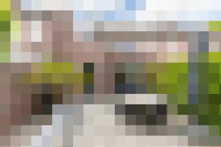 Boterbloem 27 Venray thumbnail 36