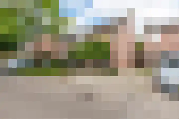 Boterbloem 27 Venray thumbnail 4