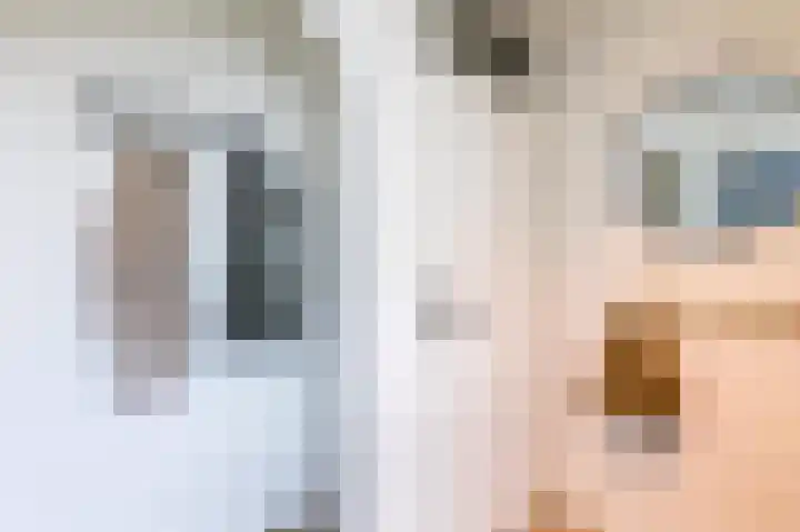 Boterbloem 27 Venray thumbnail 5