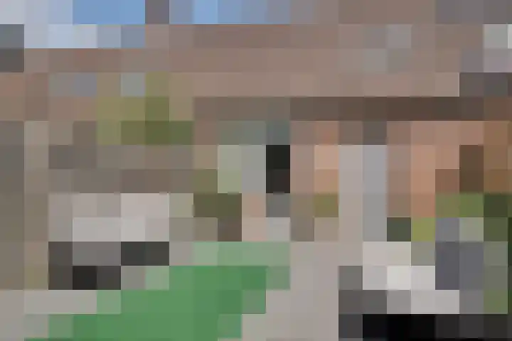 Boterbloem 27 Zwaag thumbnail 14