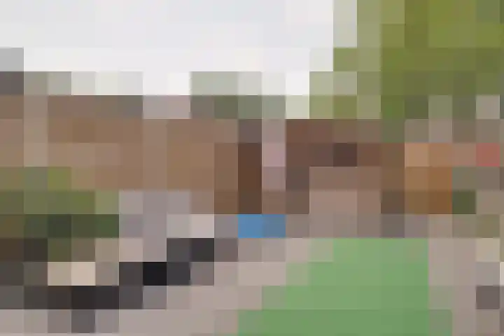 Boterbloem 27 Zwaag thumbnail 15