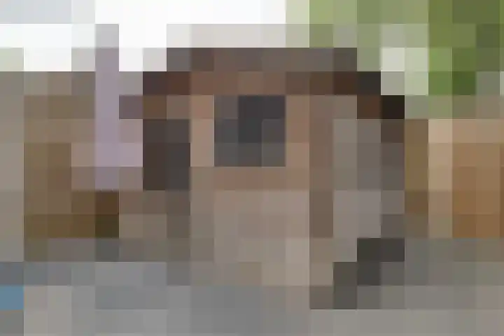 Boterbloem 27 Zwaag thumbnail 16