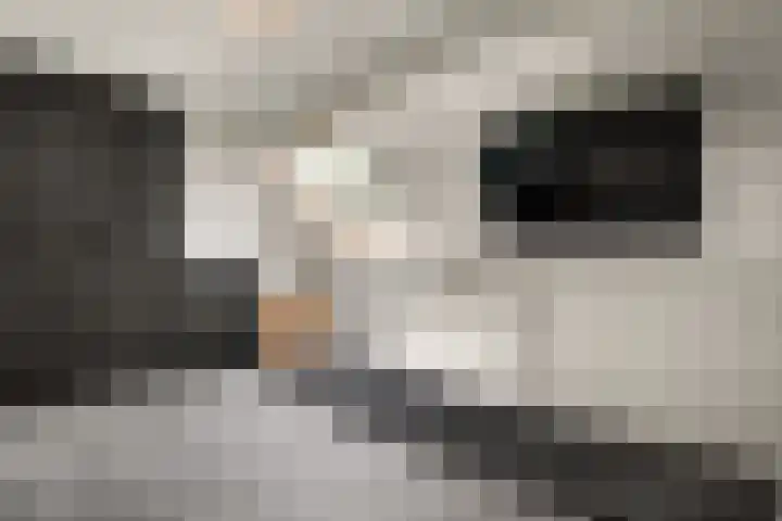 Boterbloem 27 Zwaag thumbnail 20