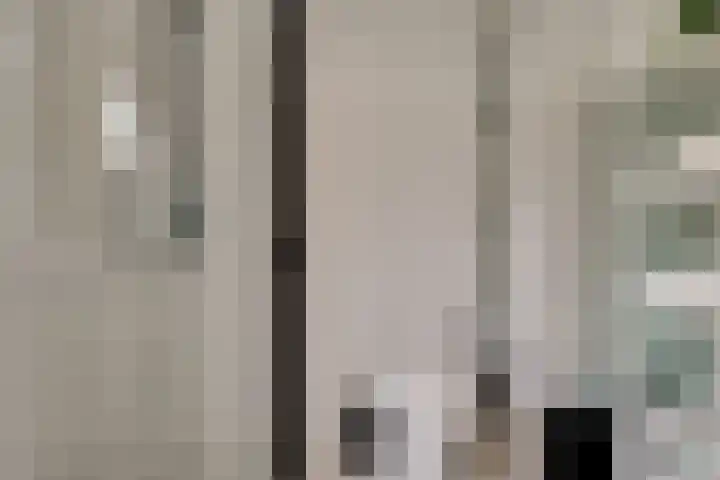 Boterbloem 27 Zwaag thumbnail 23