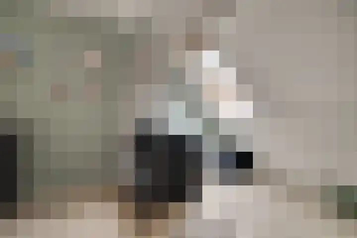 Boterbloem 27 Zwaag thumbnail 24