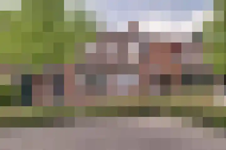 Boterbloem 27 Zwaag thumbnail 29