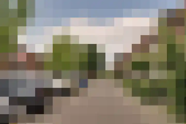 Boterbloem 27 Zwaag thumbnail 31