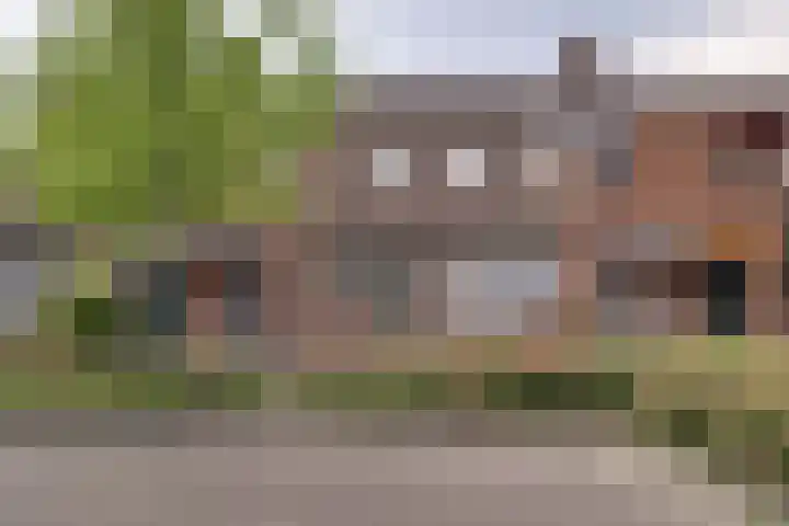 Boterbloem 27 Zwaag thumbnail 38