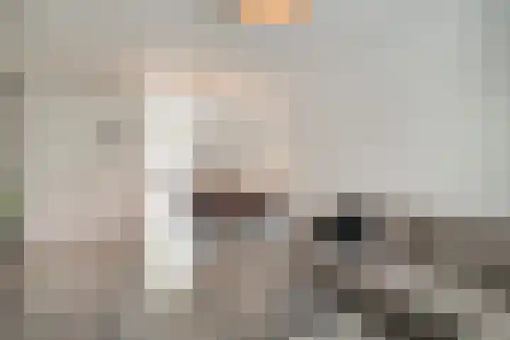 Boterbloem 27 Zwaag thumbnail 5