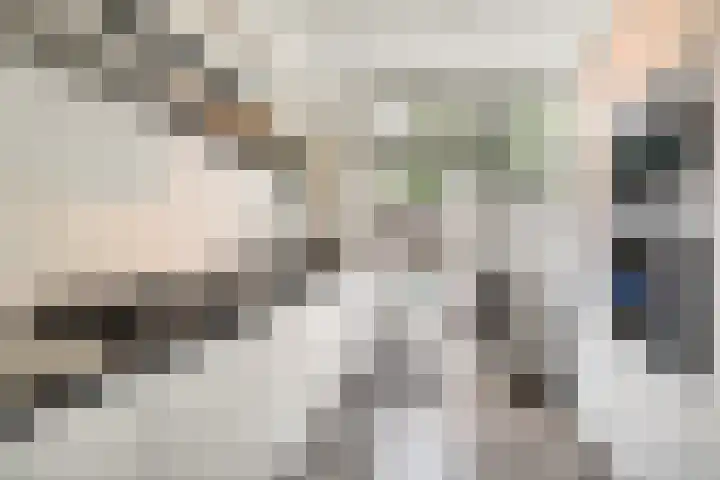 Boterbloem 27 Zwaag thumbnail 7