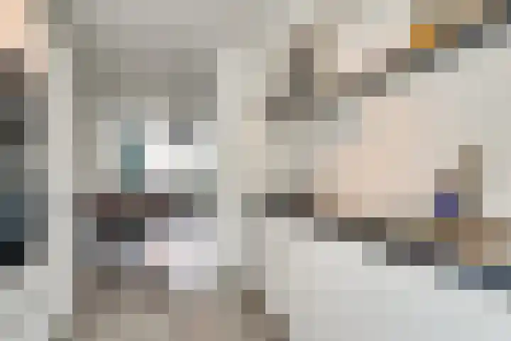 Boterbloem 27 Zwaag thumbnail 8