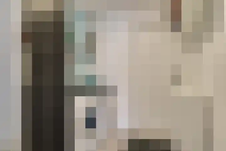 Boterbloem 27 Zwaag thumbnail 9