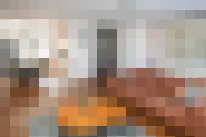 Boterbloem 28 Hendrik-Ido-Ambacht thumbnail 7