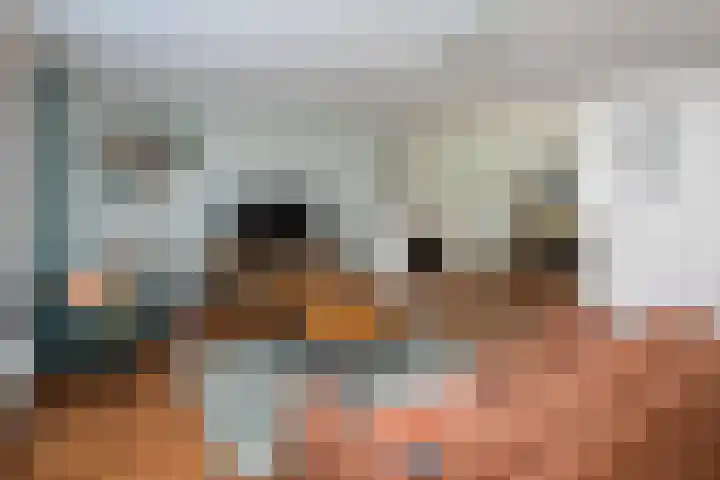 Boterbloem 28 Hendrik-Ido-Ambacht thumbnail 8