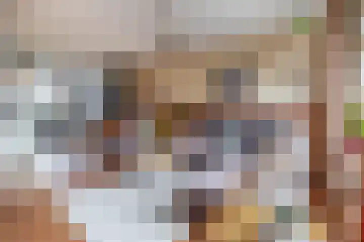 Boterbloem 3 Bergambacht thumbnail 10
