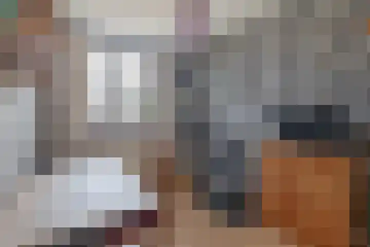 Boterbloem 3 Bergambacht thumbnail 18