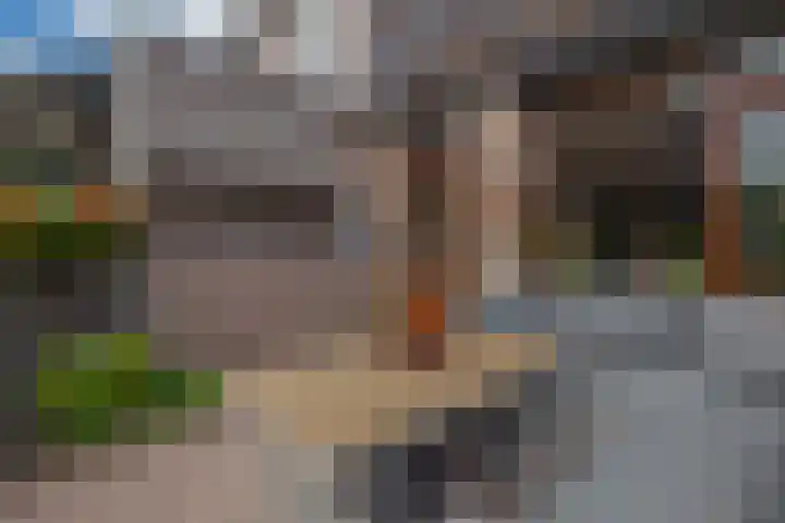 Boterbloem 3 Bergambacht thumbnail 23