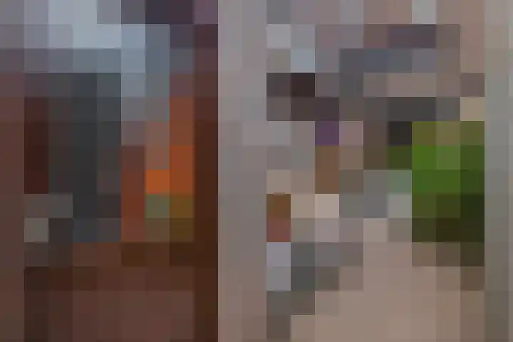 Boterbloem 3 Bergambacht thumbnail 25
